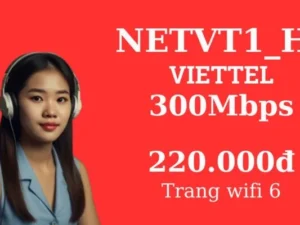 GÓI CƯỚC INTERNET VIETTEL NETVT1_H