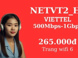 GÓI CƯỚC INTERNET VIETTEL NETVT2_H